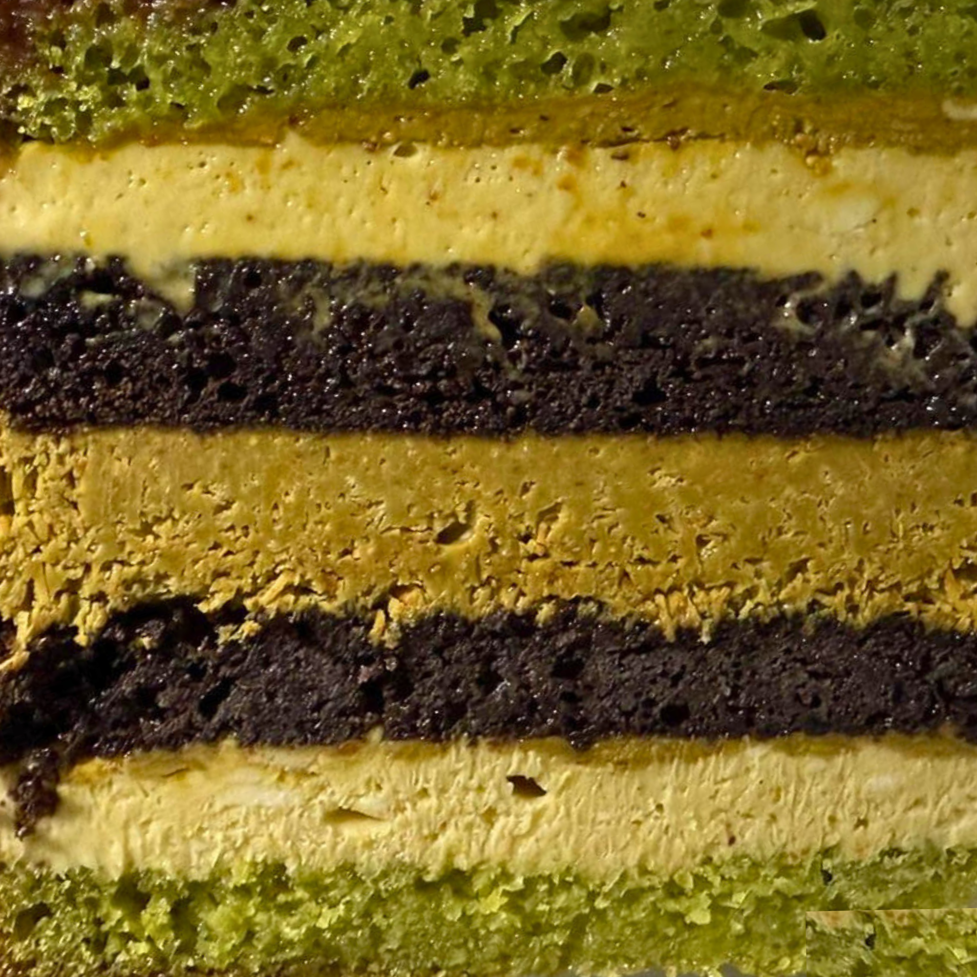 dbakers Miami