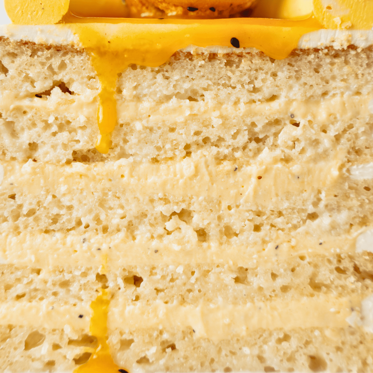 3 Leche Passion Fruit Cake - NEW - dbakers Miami