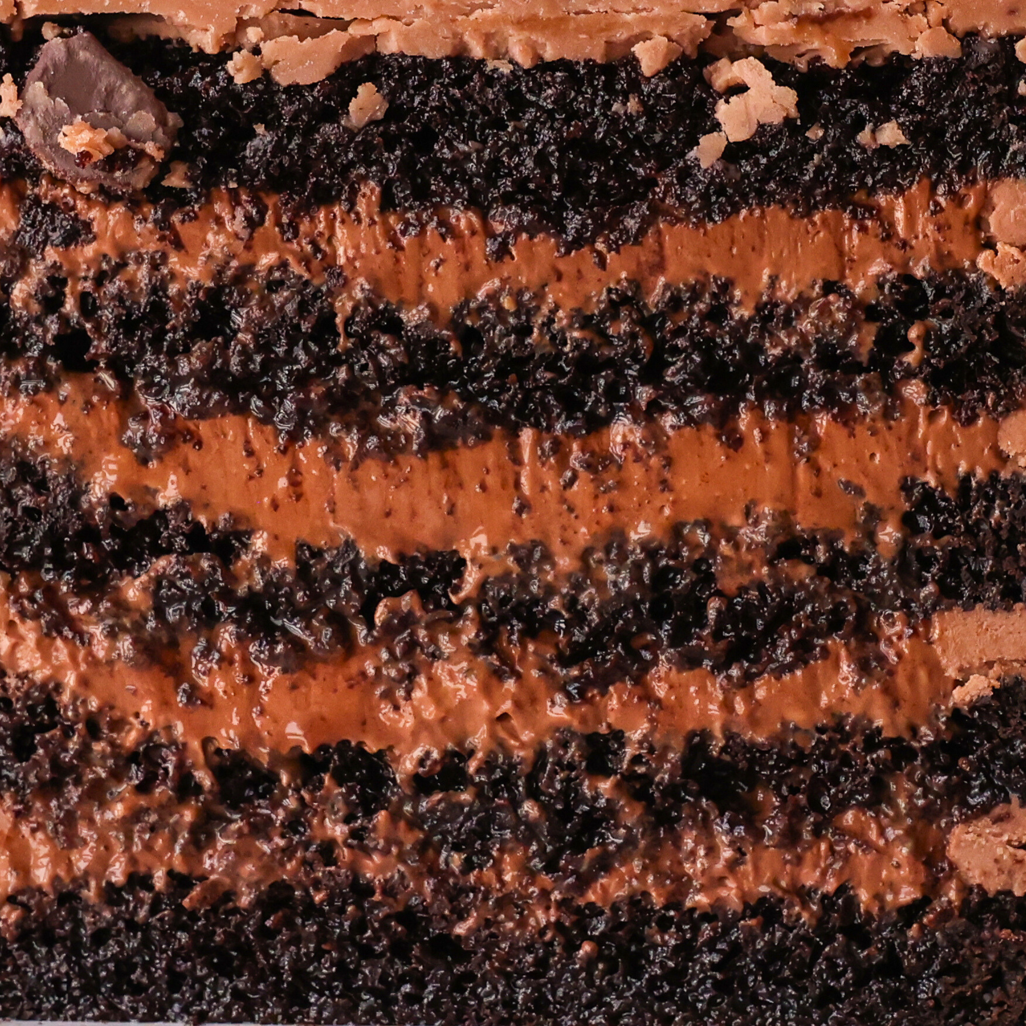 Close-up of layered chocolate cake with visible layers