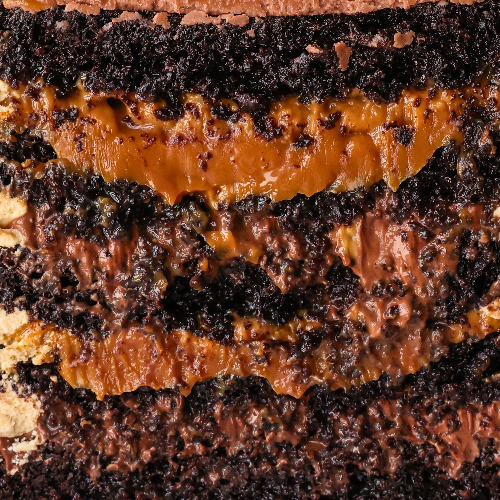 Close-up of a chocolate cake with dulce de leche filling