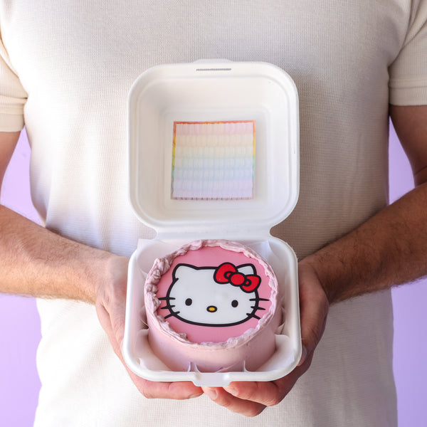 Character Bento Cake
