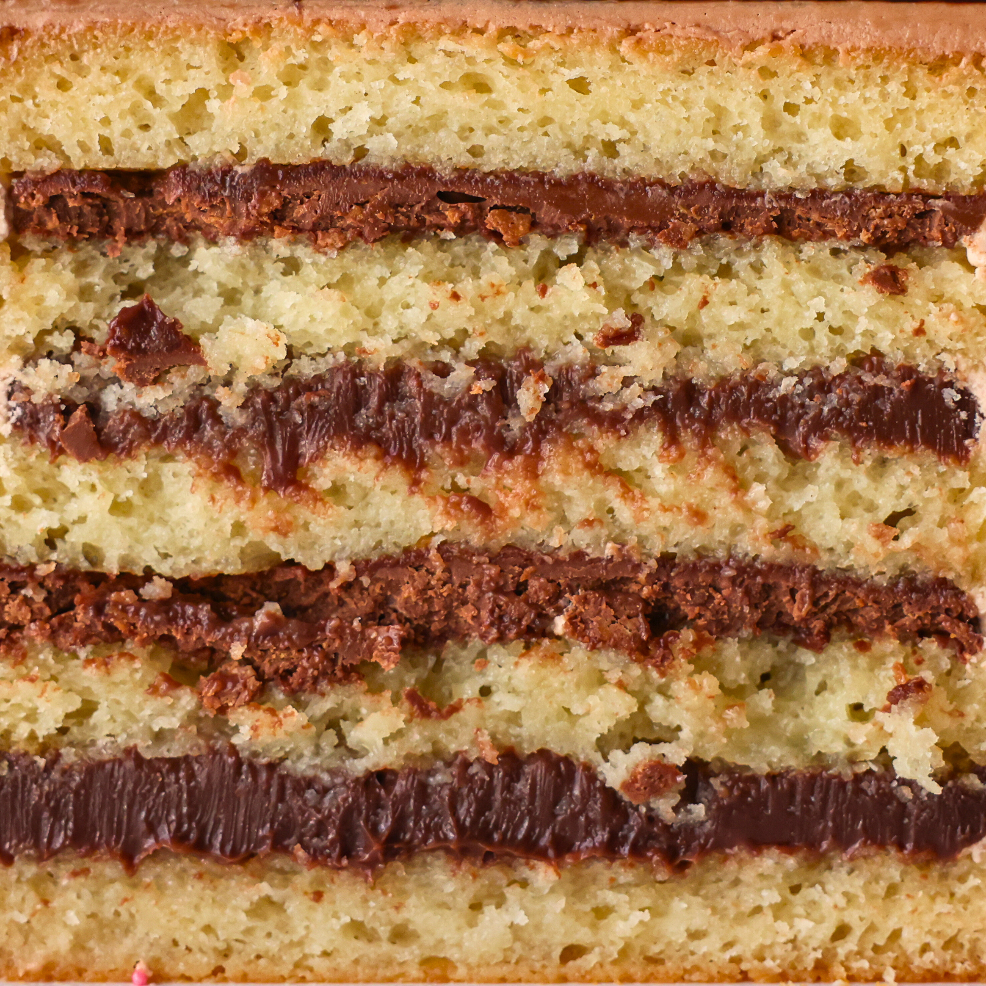 Close-up of a layered vanilla cake and n utella