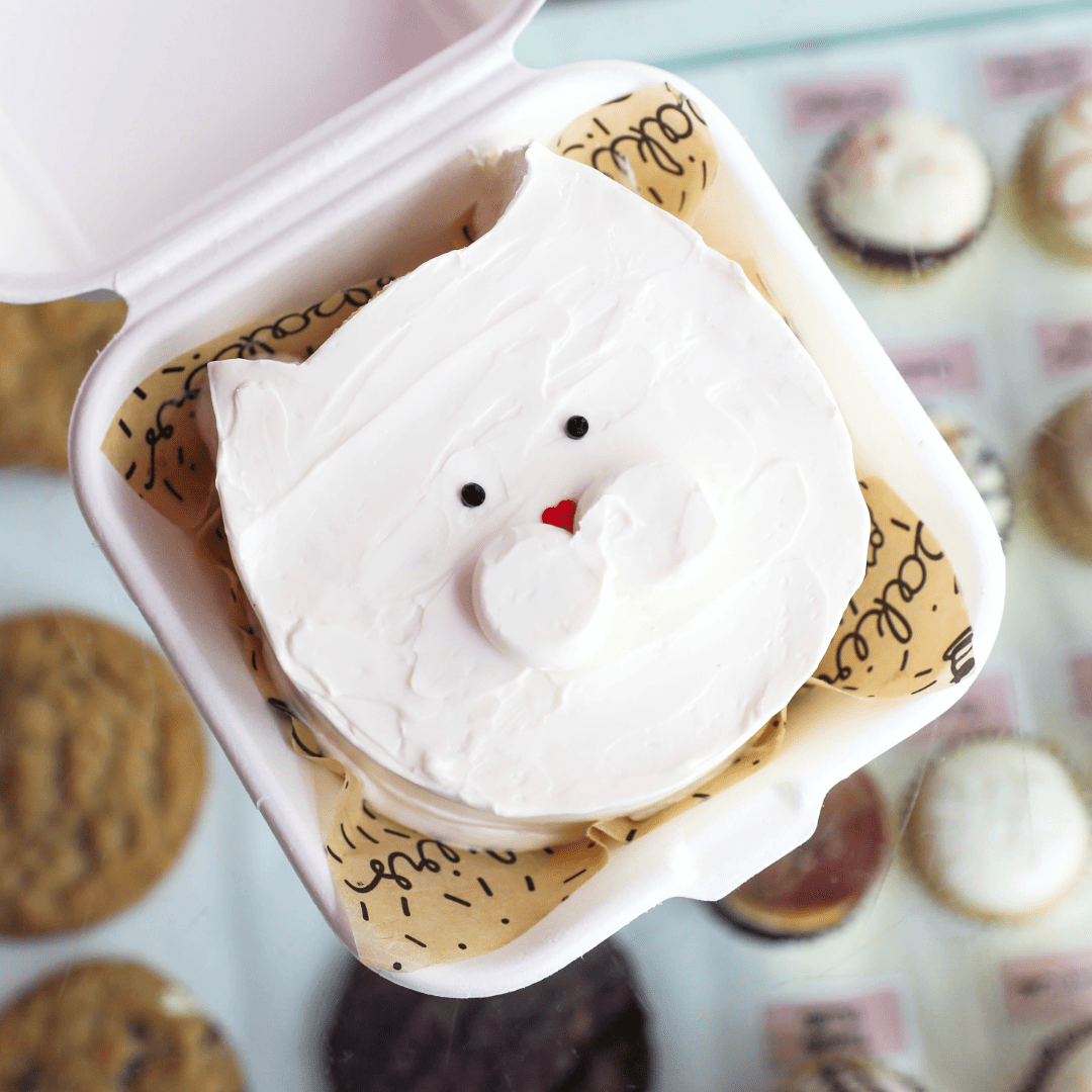 Cat Bento Cake - dbakers Miami