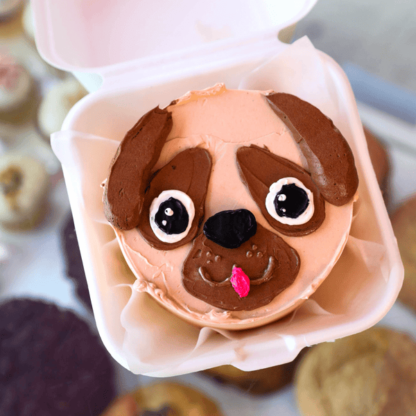 Dog Bento Cake  | dbakers Sweet Studio