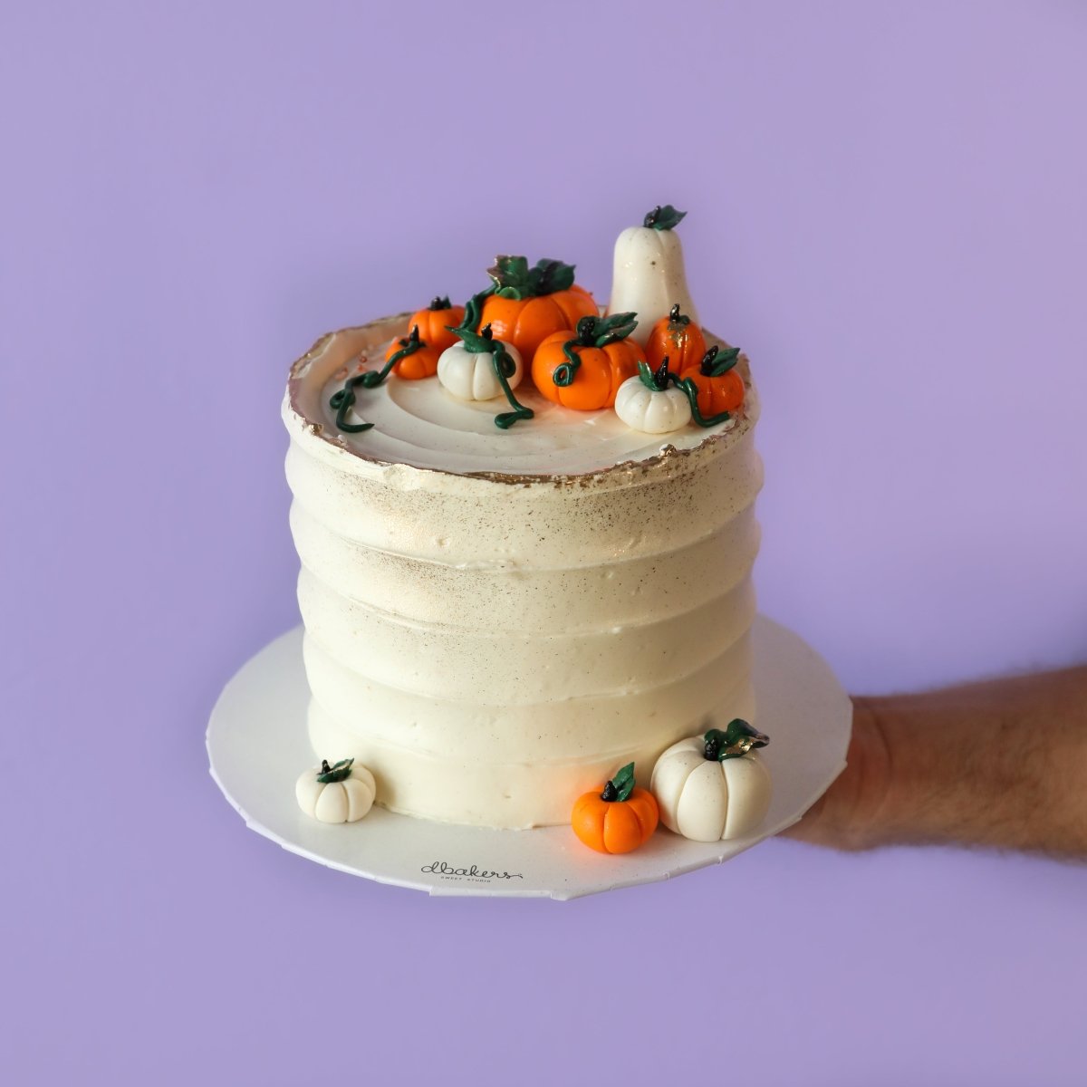 Pumpkin Patch - dbakers Miami