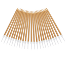 Champagne Gold (Box of 6)