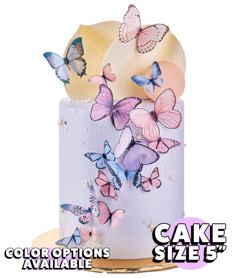 Butterfly Cascade - dbakers Miami